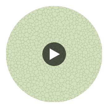 Pebble - Duck Egg Celery By Cole & Son | Cole & Son Landscape Plains |  Wallcovering Print Circular Swatch | DW