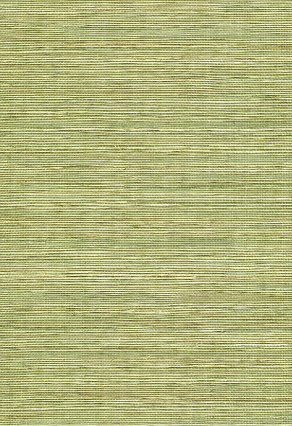 Molfetta Green Camo Grasscloth Wallcovering | Fentucci