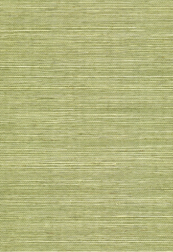 Molfetta Green Camo Grasscloth Wallcovering | Fentucci