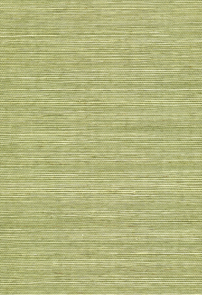 DWNAT-100181 Grasscloth Wallcovering | Fentucci