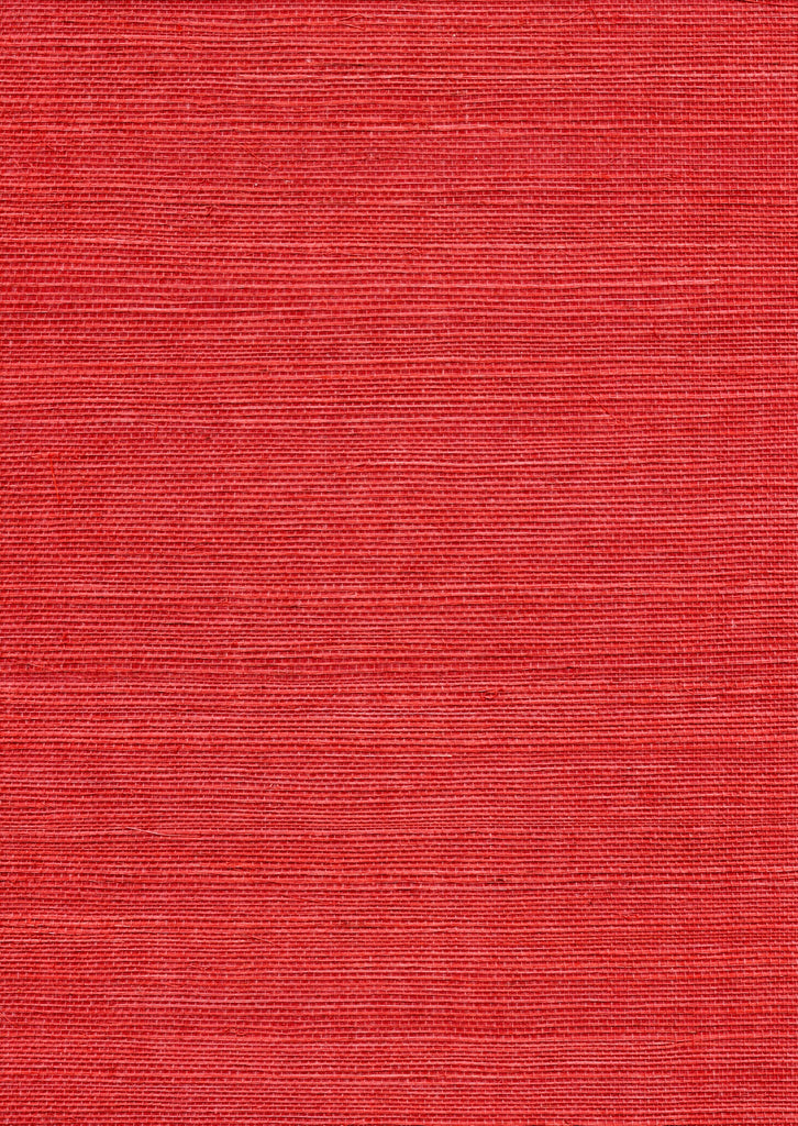 DWNAT-100184 Grasscloth Wallcovering | Fentucci