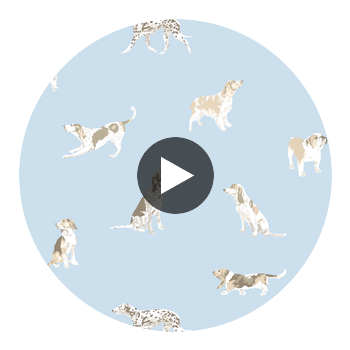 BUDDY WALLPAPER Circular Swatch | DW