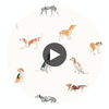 BUDDY WALLPAPER Circular Swatch | DW