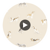 BUDDY WALLPAPER Circular Swatch | DW