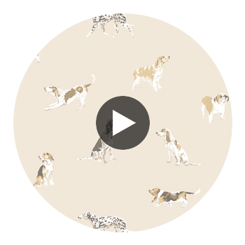 BUDDY WALLPAPER Circular Swatch | DW