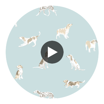 BUDDY WALLPAPER Circular Swatch | DW