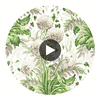 Dahlia | Anna French Wallcovering Circular Swatch | DW
