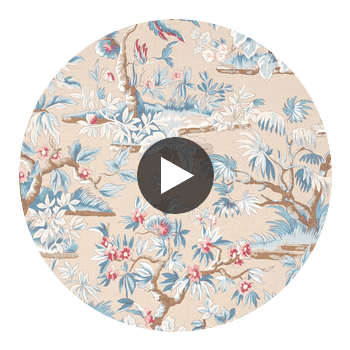 Ellwood - Soft Gold Wallcovering | Anna French at DW Circular Swatch | DW
