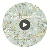 Elwood | Anna French Wallcovering Circular Swatch | DW