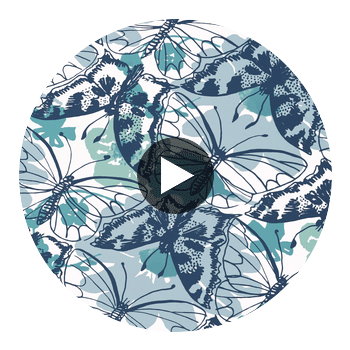 Kinetic | Anna French Wallcovering Circular Swatch | DW