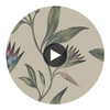 Willow Tree | Anna French Wallcovering Circular Swatch | DW
