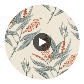 Winter Bud | Anna French Wallcovering Circular Swatch | DW