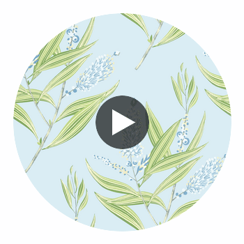 Winter Bud | Anna French Wallcovering Circular Swatch | DW