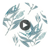 Milford | Anna French Wallcovering Circular Swatch | DW