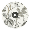 Kalamkari Vine | Anna French Wallcovering Circular Swatch | DW