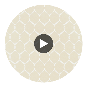 Leland Trellis | Anna French Wallcovering Circular Swatch | DW