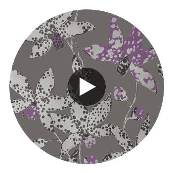 Spotted Orchid | Anna French Wallcovering Circular Swatch | DW