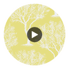 Winfell Forest | Anna French Wallcovering Circular Swatch | DW