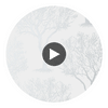 Winfell Forest | Anna French Wallcovering Circular Swatch | DW
