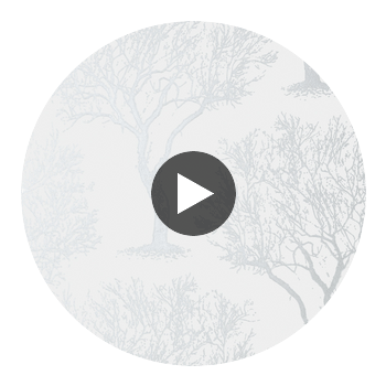 Winfell Forest | Anna French Wallcovering Circular Swatch | DW