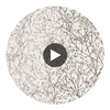 Zola | Anna French Wallcovering Circular Swatch | DW