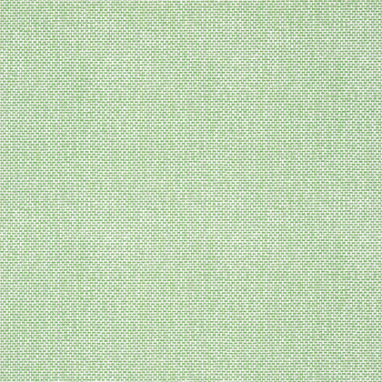 Palawan Green - Green Wallcovering | Thibaut