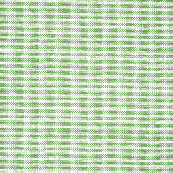 Palawan Green - Green Wallcovering | Thibaut
