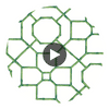 Arbor Emerald | Thibaut Wallcoverings Circular Swatch | Thibaut