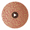 Aedan Raspberry | Thibaut Wallcoverings Circular Swatch | Thibaut Wallpaper