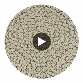 Aster Charcoal | Thibaut Wallcoverings Circular Swatch | Thibaut