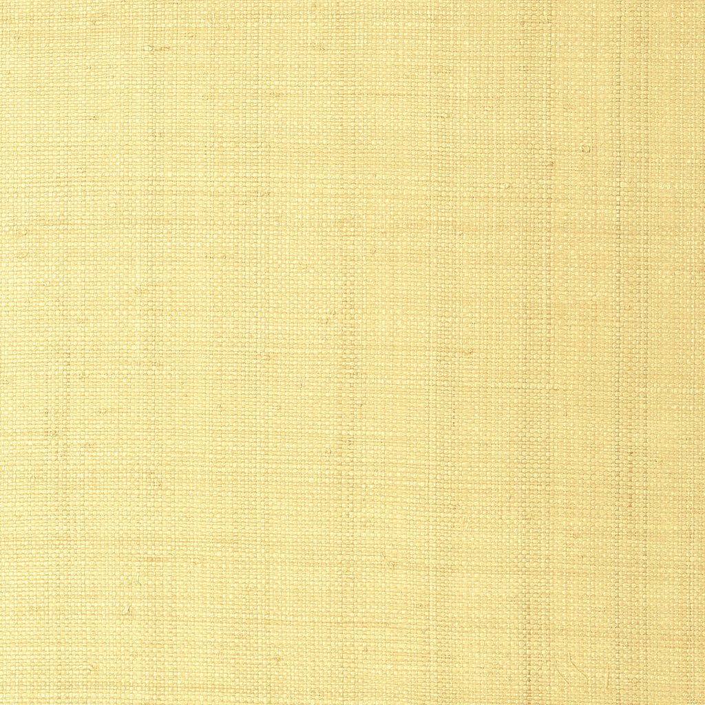 Pearl Bay Straw | Thibaut