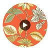 Lucala Coral | Thibaut Wallcoverings Circular Swatch | Thibaut