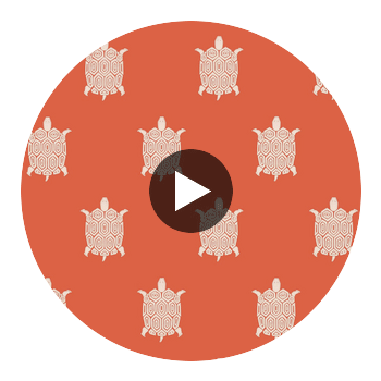 Turtle Bay Coral | Thibaut Wallcoverings Circular Swatch | Thibaut
