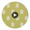 Turtle Bay Green | Thibaut Wallcoverings Circular Swatch | Thibaut