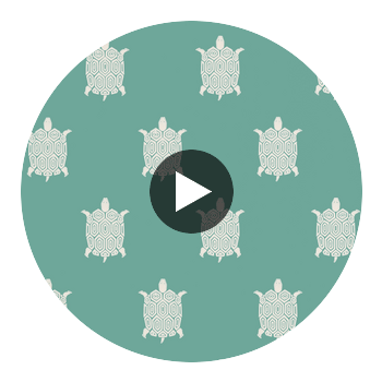 Turtle Bay Turquoise | Thibaut Wallcoverings Circular Swatch | Thibaut