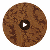 Medici Brown | Thibaut Wallcoverings Circular Swatch | Thibaut