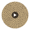 Klein Trellis Camel | Thibaut Wallcoverings Circular Swatch | Thibaut