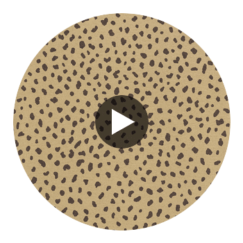 Klein Trellis Camel | Thibaut Wallcoverings Circular Swatch | Thibaut