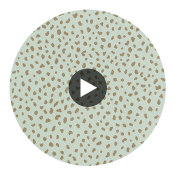 Klein Trellis Stone | Thibaut Wallcoverings Circular Swatch | Thibaut