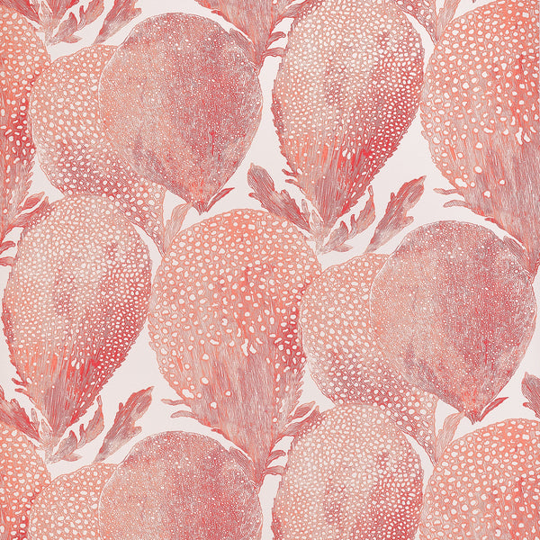 Under the Sea Coral - Coral Wallcovering | Thibaut