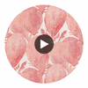 Under the Sea Coral | Thibaut Wallcoverings Circular Swatch | Thibaut