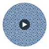 Sand Dollar Blue | Thibaut Wallcoverings Circular Swatch | Thibaut