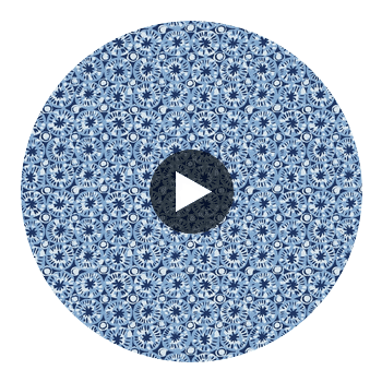 Sand Dollar Blue | Thibaut Wallcoverings Circular Swatch | Thibaut