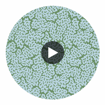 Maldives Blue and Green | Thibaut Wallcoverings Circular Swatch | Thibaut