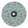 Maldives Spa Blue and Brown | Thibaut Wallcoverings Circular Swatch | Thibaut