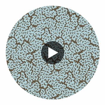 Maldives Spa Blue and Brown | Thibaut Wallcoverings Circular Swatch | Thibaut