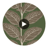 Lacinato Wild Sage | Thibaut Wallcoverings Circular Swatch | Thibaut