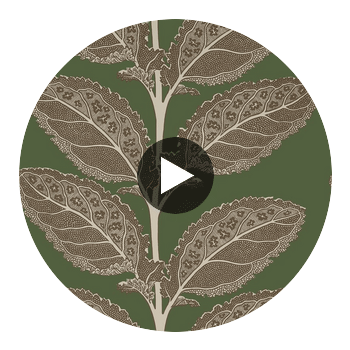 Lacinato Wild Sage | Thibaut Wallcoverings Circular Swatch | Thibaut