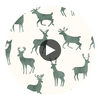 Bucks Wild Sage | Thibaut Wallcoverings Circular Swatch | Thibaut
