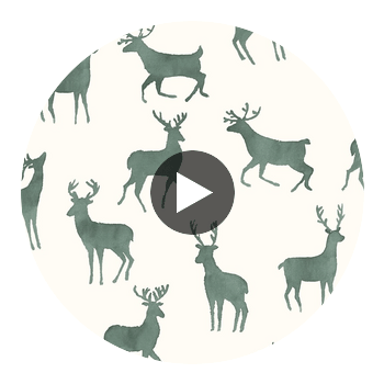 Bucks Wild Sage | Thibaut Wallcoverings Circular Swatch | Thibaut